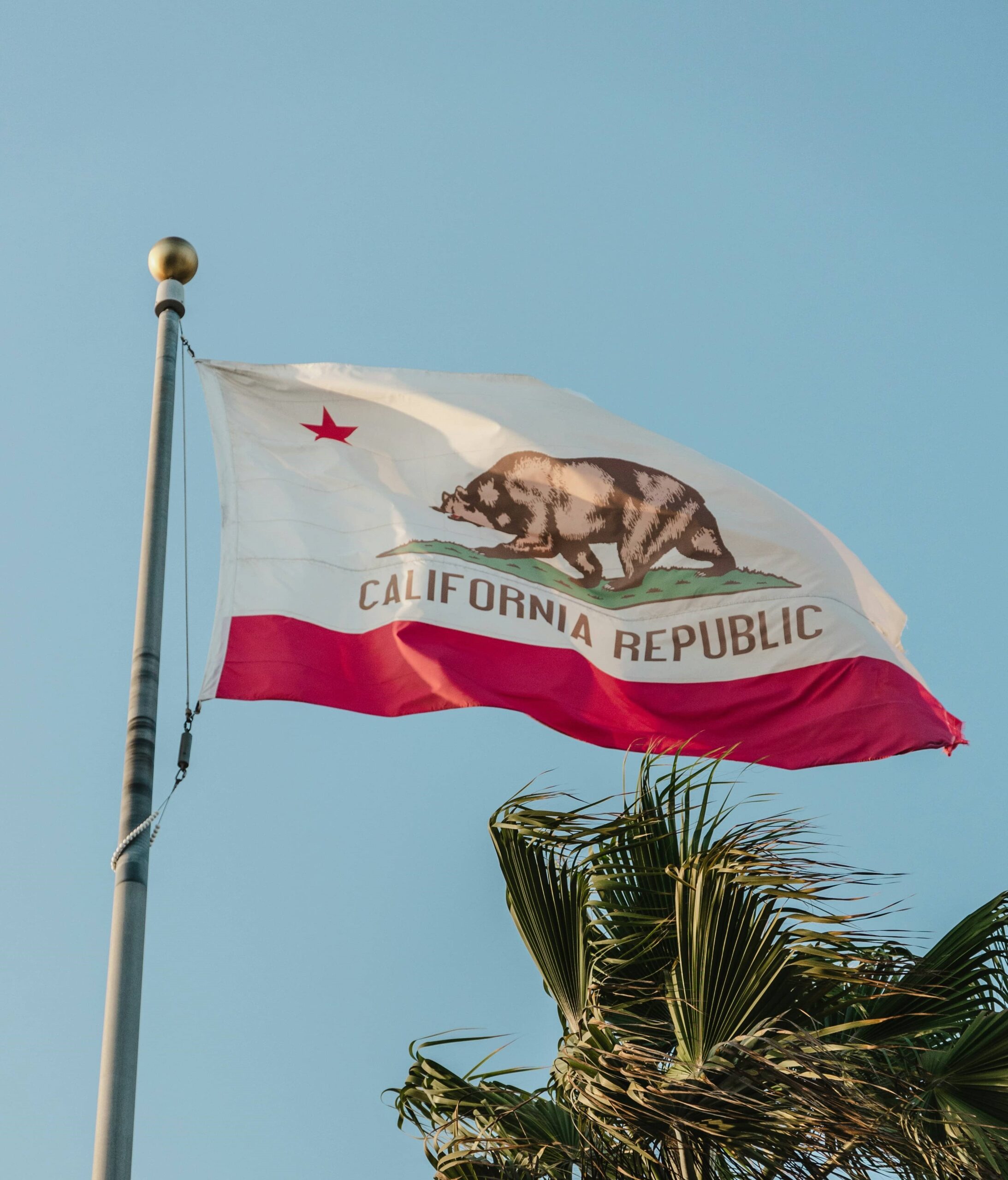 Corporate Transparency: California SB 1201 - FinCEN Report